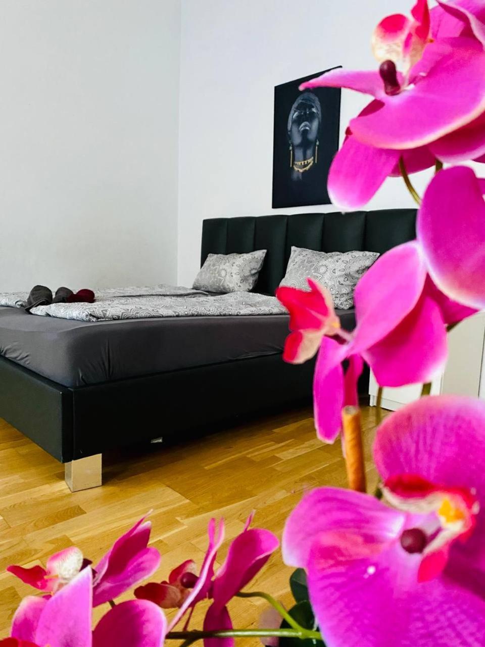 Family Apartment Th8 8 Wien Eksteriør bilde